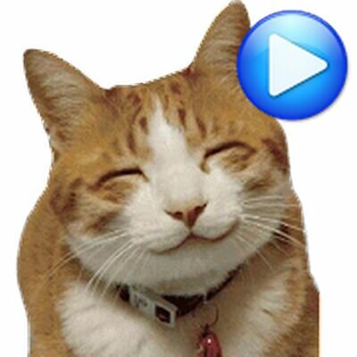 Скачать Анимированные WAstickerApps коты и котята Наклейки (Без кеша) версия 5.19 на Андроид