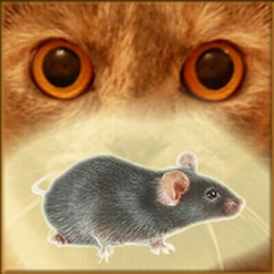 Скачать Мышь на экране для кота - Игры для кошек (Взлом Много денег) версия 24.0 на Андроид