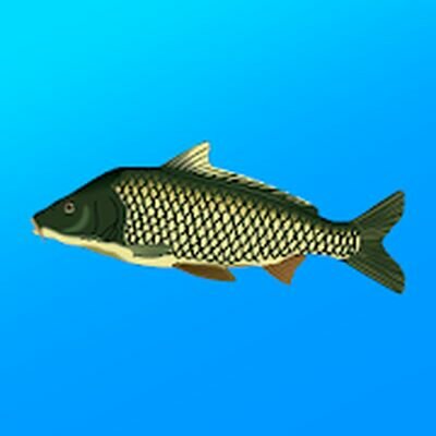 Скачать Реальная Рыбалка. Симулятор рыбной ловли (Взлом Много монет) версия 1.15.0.700 на Андроид