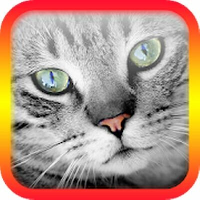 Скачать Переводчик на кошачий язык (Взлом Разблокировано все) версия 5.5 на Андроид