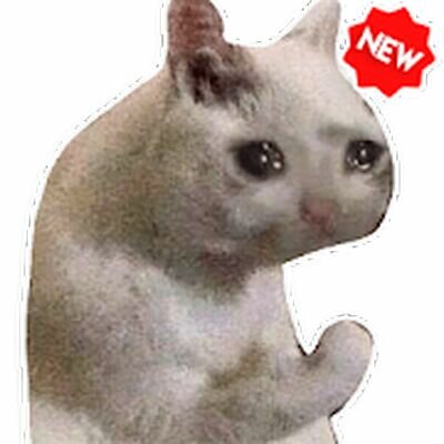 Скачать Смешной наклейки мем кошки WAStickerApps (Полная) версия 1.7.0 на Андроид