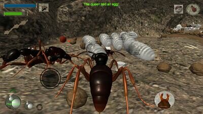 Скачать Ant Simulation 3D - Insect Survival Game (Взлом Много монет) версия 3.3.4 на Андроид