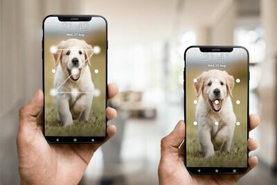 Скачать Экран блокировки щенка (Полная) версия 15.7 на Андроид